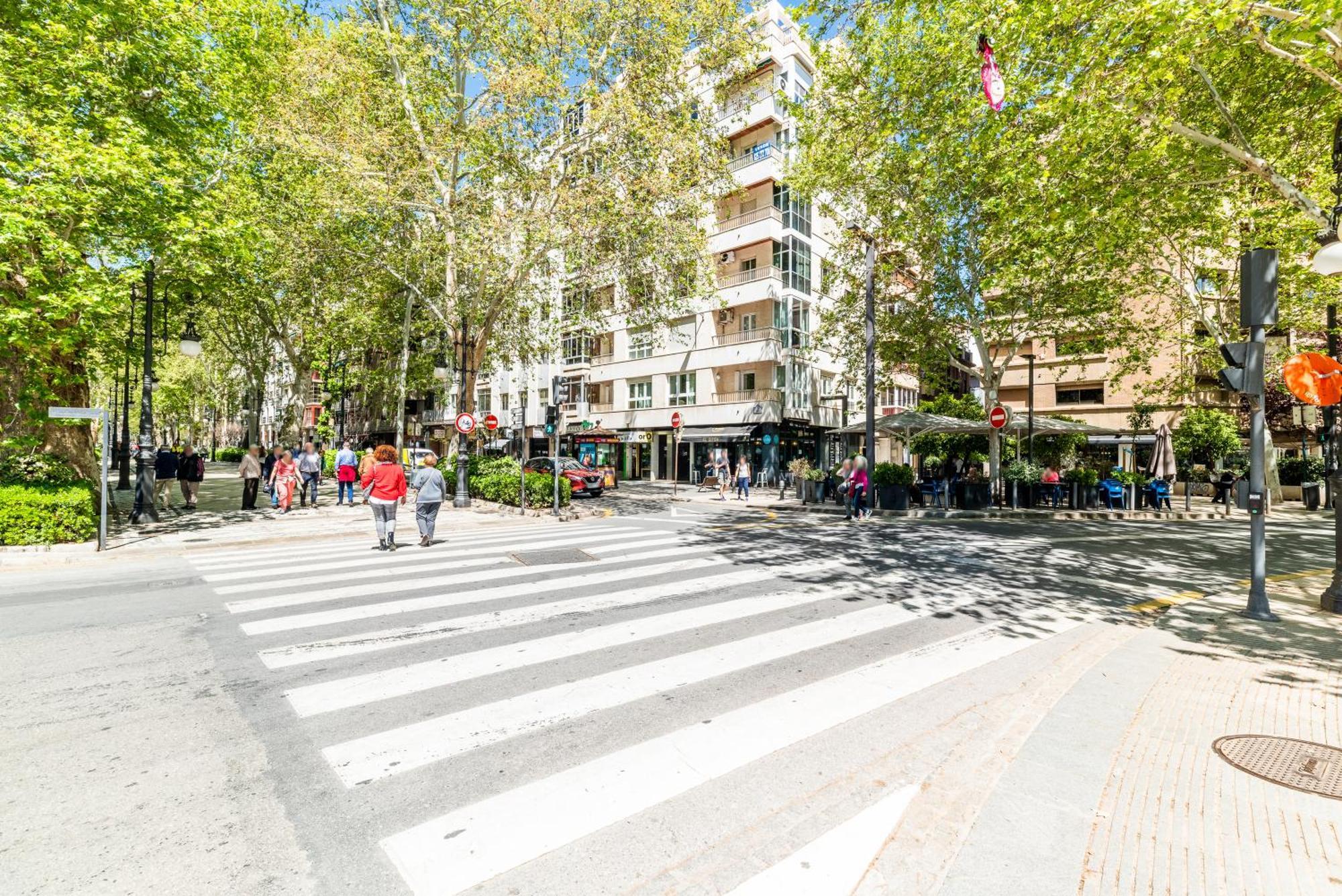 Encantador Piso Pleno Centro A Pie De Semana Santa Y Cerca De La Alhambra Granada Exteriér fotografie