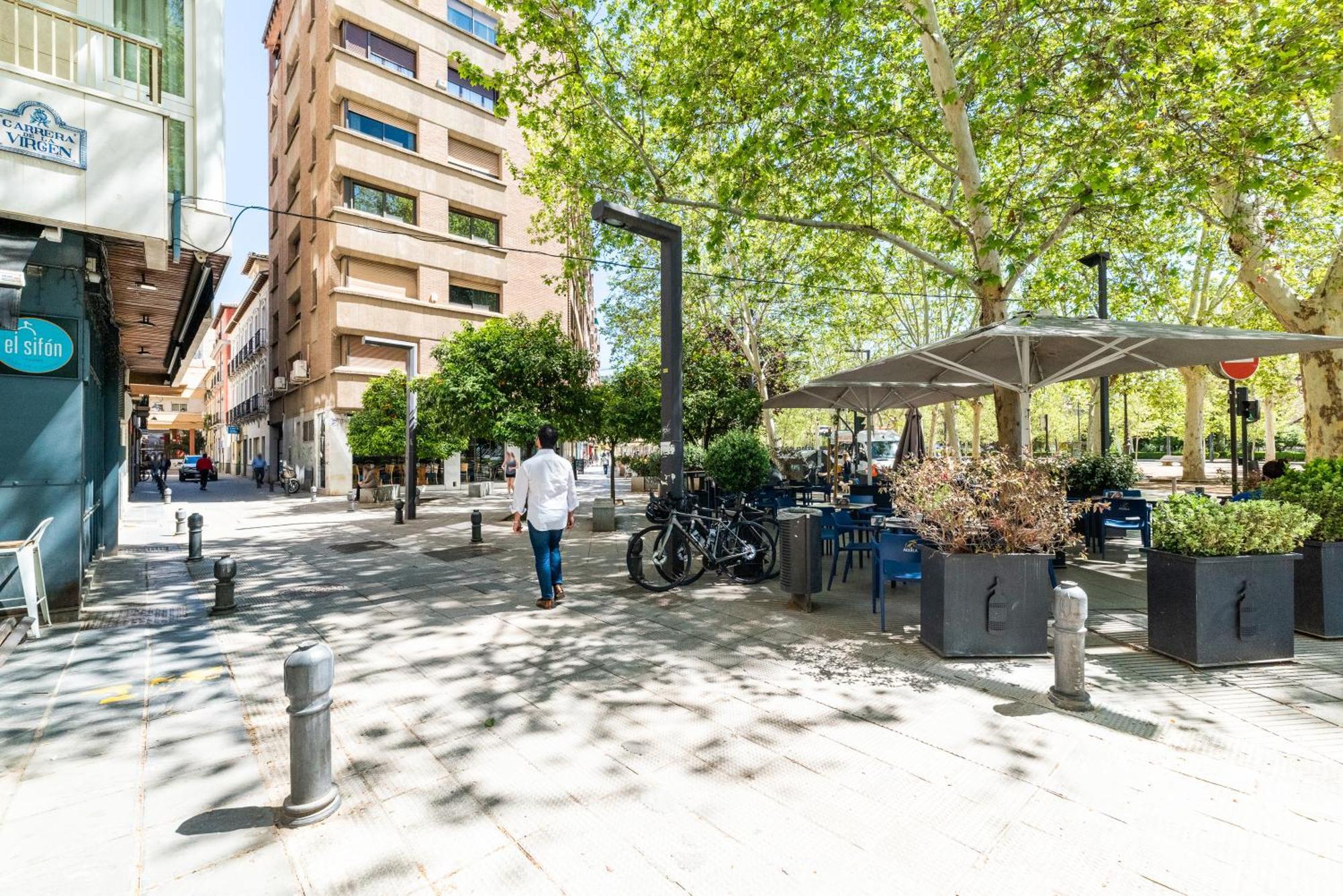 Encantador Piso Pleno Centro A Pie De Semana Santa Y Cerca De La Alhambra Granada Exteriér fotografie